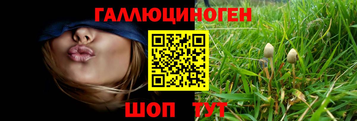 Псилоцибиновые грибы GOLDEN TEACHER  Вход с VPN  Касимов 